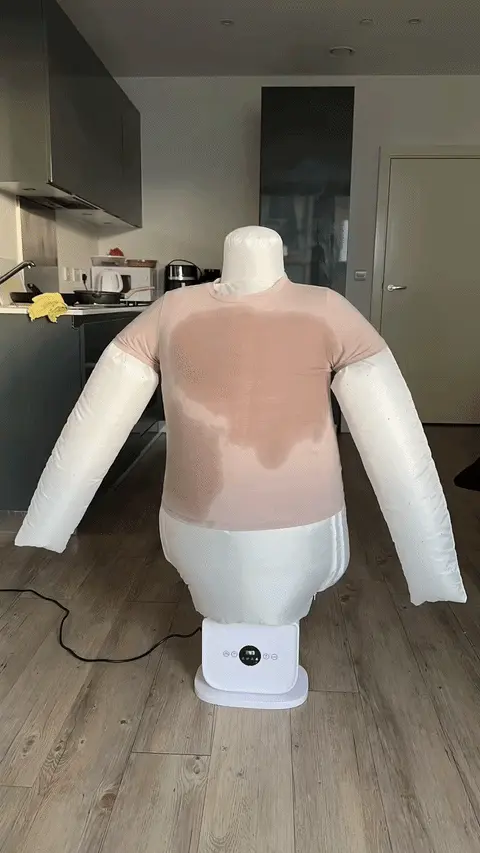 AutomaticIroning
