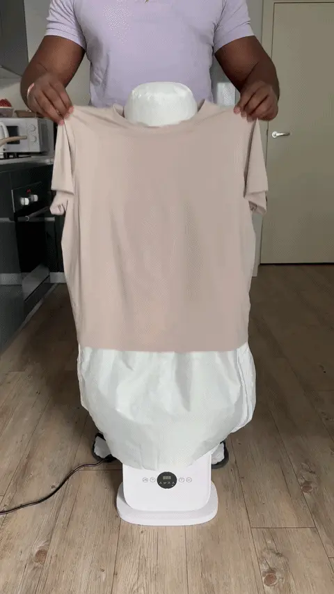 AutomaticIroning
